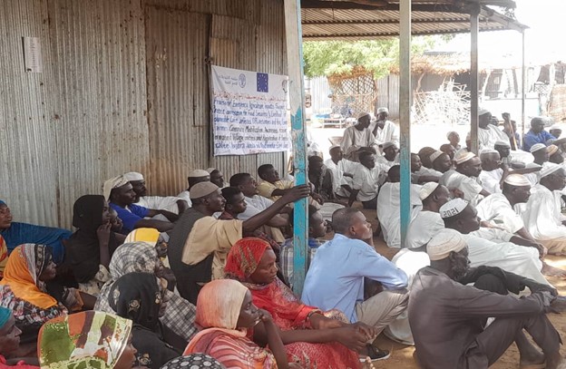 Emergency agriculture inputs support to protect and restore the food security and livelihood of vulnerable conflict affected IDPs